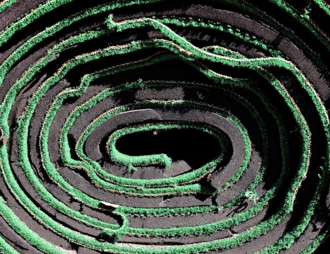 Carpeting & Flooring